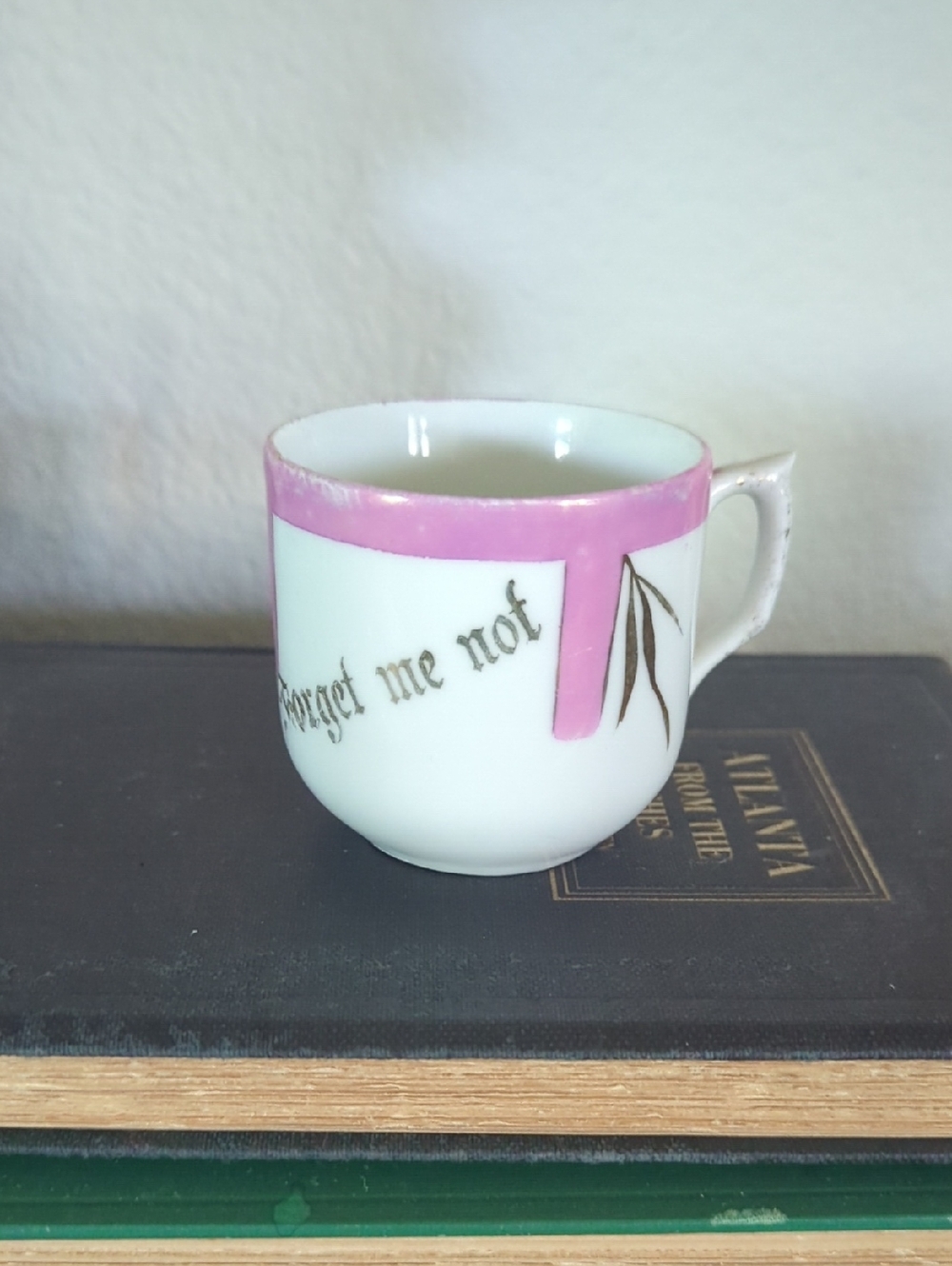 Vintage  German  Porcelain Forget Me Not Teacup
